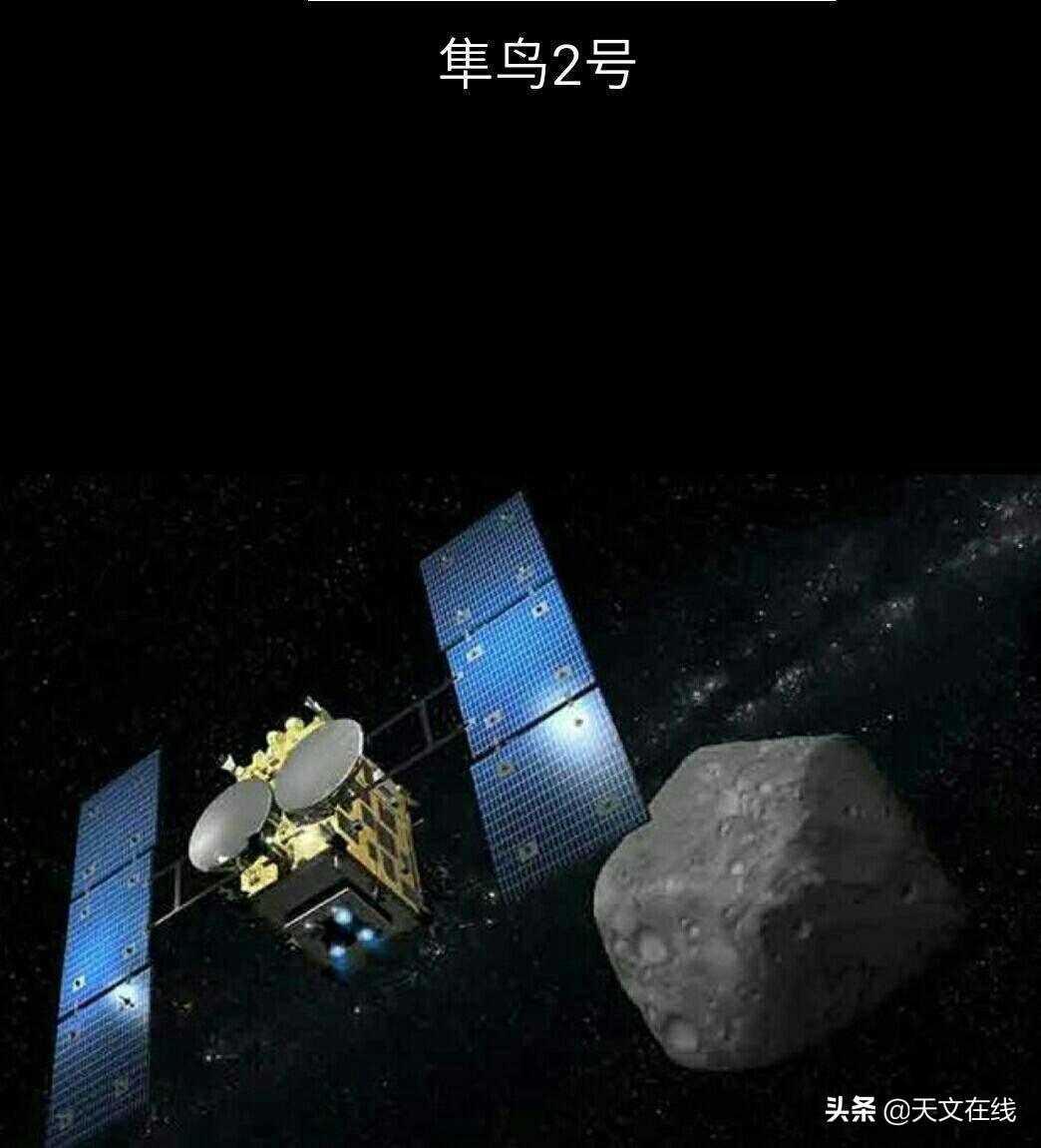 龙狗牛前好风光，牛羊猴鼠牛见树打一正确生肖与警惕虚假宣传-全面释义、科学解答解释落实
